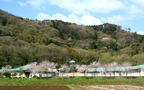 【PT・OT・/足利市】 デイサービス 「和見山苑」 (パート)の画像1