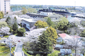 【看護職/浜松市北区】 特別養護老人ホーム 浜松十字の園 (正社員)の画像1