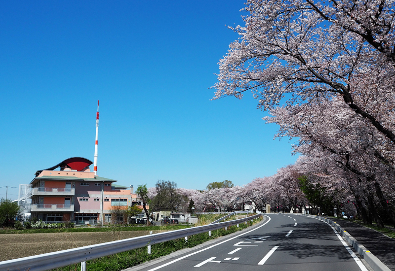 【介護職・ヘルパー／さいたま市桜区】 障害者支援施設しびらき　(正社員)の画像1