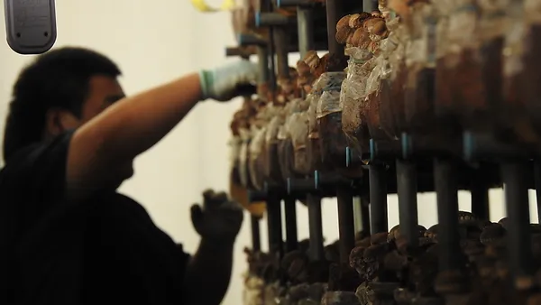 【障がい(支援員)／大田原市】 [“デイサービス・デイケア”, “その他”]　株式会社テトテ　(パート)の画像2