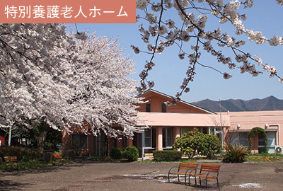 【ケアマネジャー／佐野市】 [nil]　医療法人　聖生会　介護老人保健施設　さくらの里　(正社員)の画像2