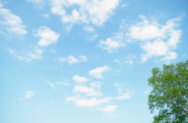 【保育士／袋井市】保育施設　　　どんぐり保育園　(正社員)の画像1