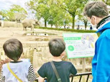 【保育士／熊本市東区】果実の木 保田窪教室（正社員）の画像2