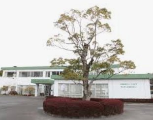 【介護／鹿児島市】 社会福祉法人　くすの木会　(正社員)の画像1