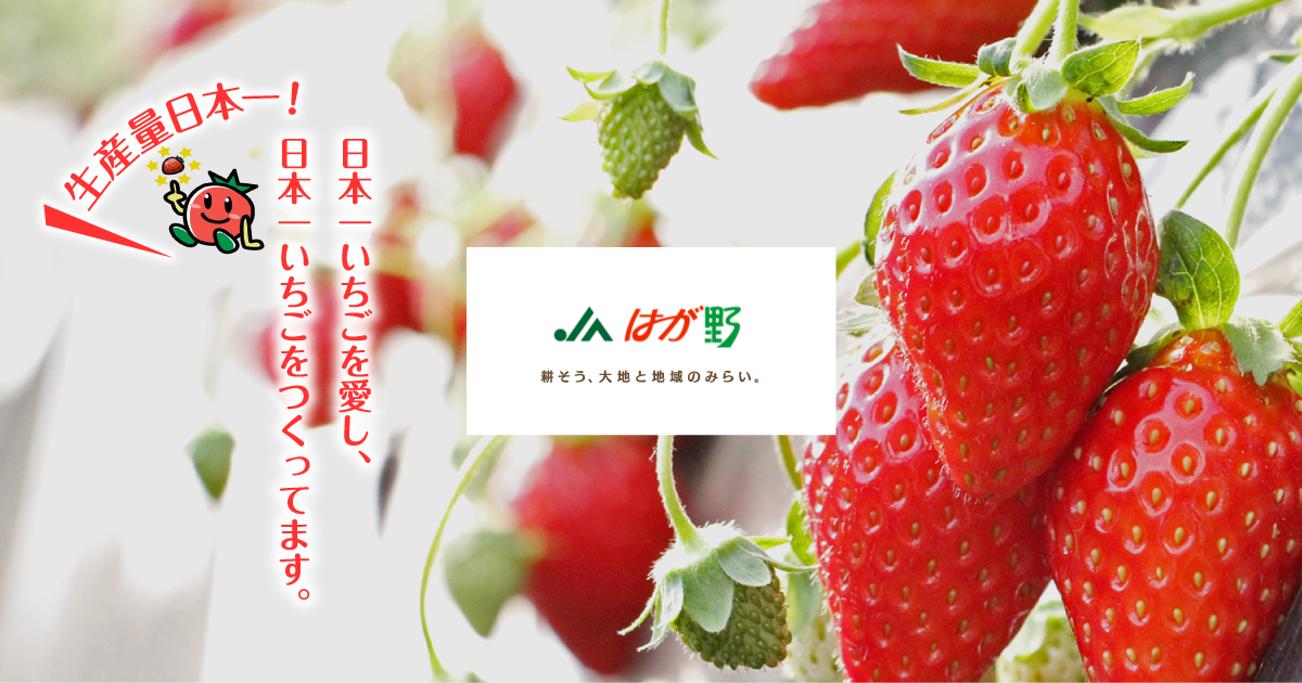 【看護師／芳賀郡市貝町】 [“デイサービス・デイケア”]　はが野農業協同組合　生活福祉部　(正社員)の画像4