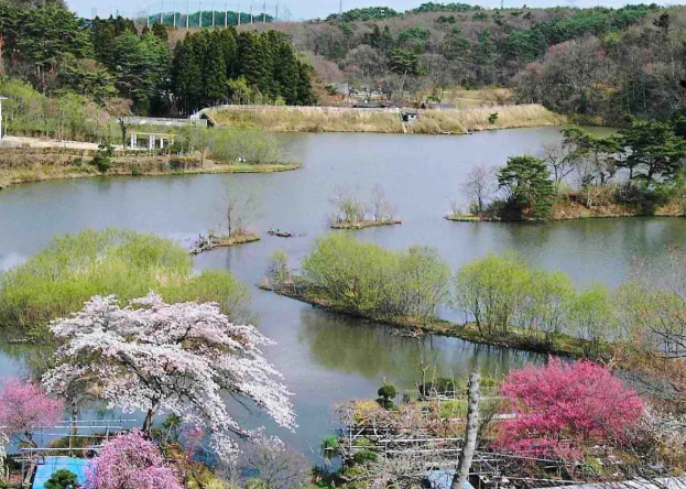 【ケアマネ／仙台市泉区】 居宅介護支援事業所　ギャラリー杜の音　(正社員)の画像3