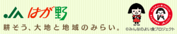 【看護師／芳賀郡市貝町】 [“デイサービス・デイケア”]　はが野農業協同組合　生活福祉部　(正社員)の画像3