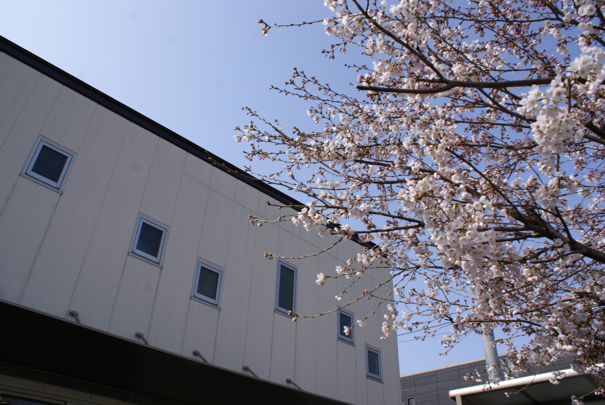 【看護師／さいたま市浦和区】　社会福祉法人　みんなぎ　(パート)の画像1