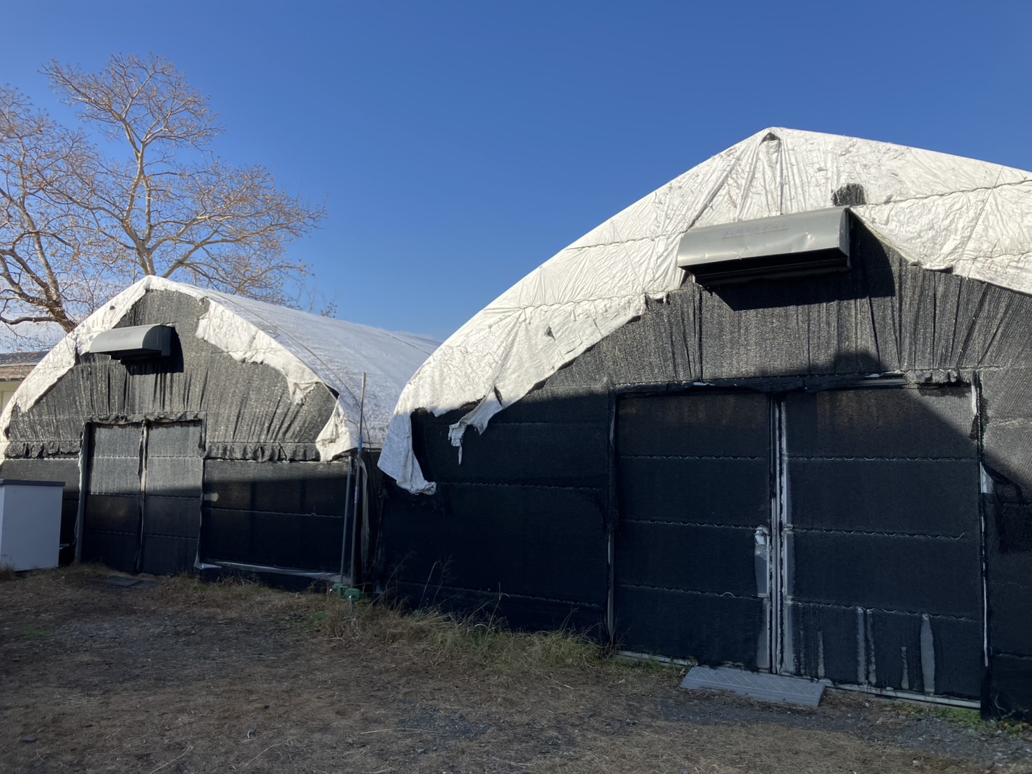 【障がい(看護師)／豊田市】 むもんカンパニー青空　(パート)の画像4