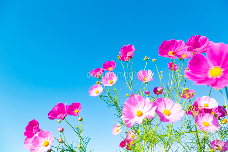 【看護師管理者/北名古屋市】小規模多機能型居宅介護遊楽苑徳重（正社員）の画像1