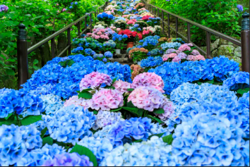 【看護師／山形市】 生活介護事業所あじさい館あかねケ丘　(正社員)の画像1