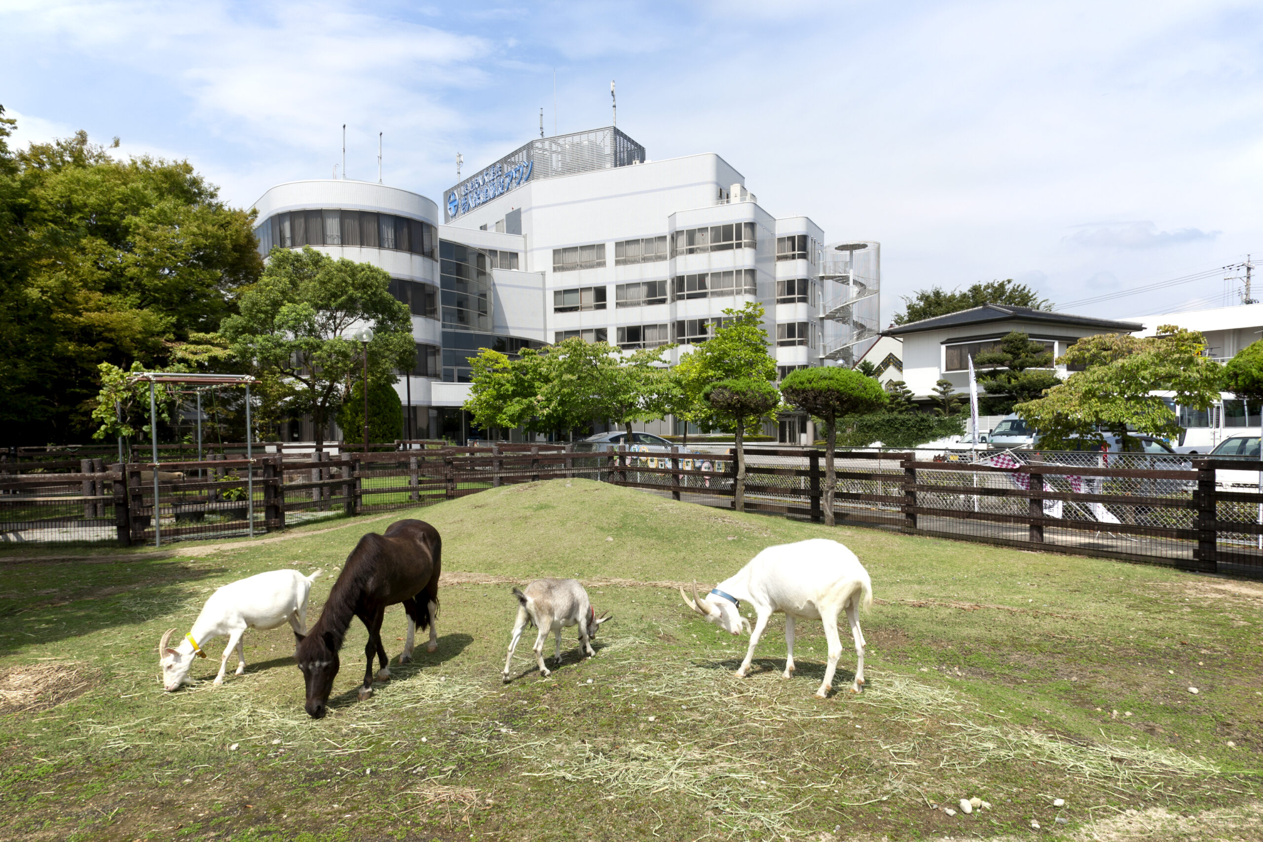 【介護職/一宮市】 老人保健施設 アウン (正社員)の画像4