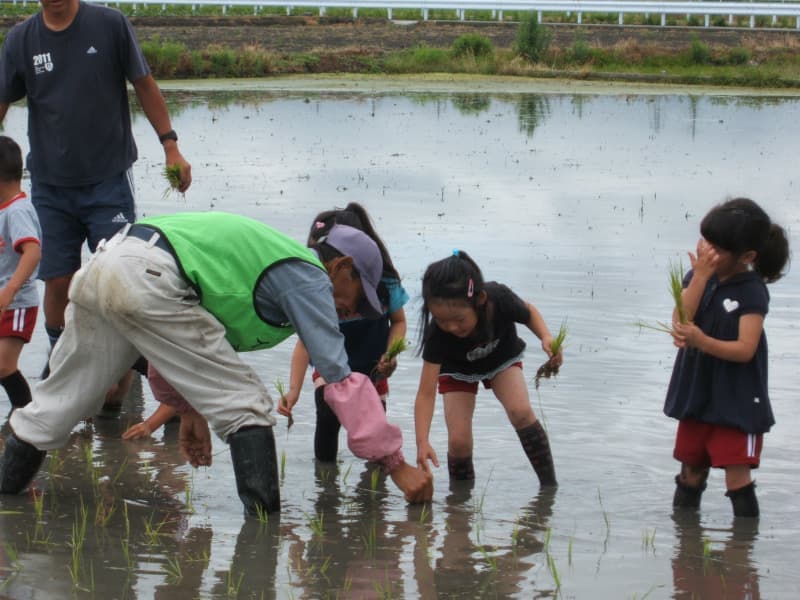 【保育士/昭和町】第二上河東保育園　(正社員)の画像3