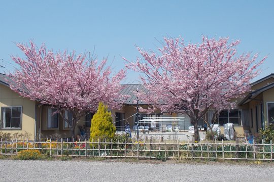 【介護職員／小山市】 　社会医療法人　友志会　(正社員)の画像1