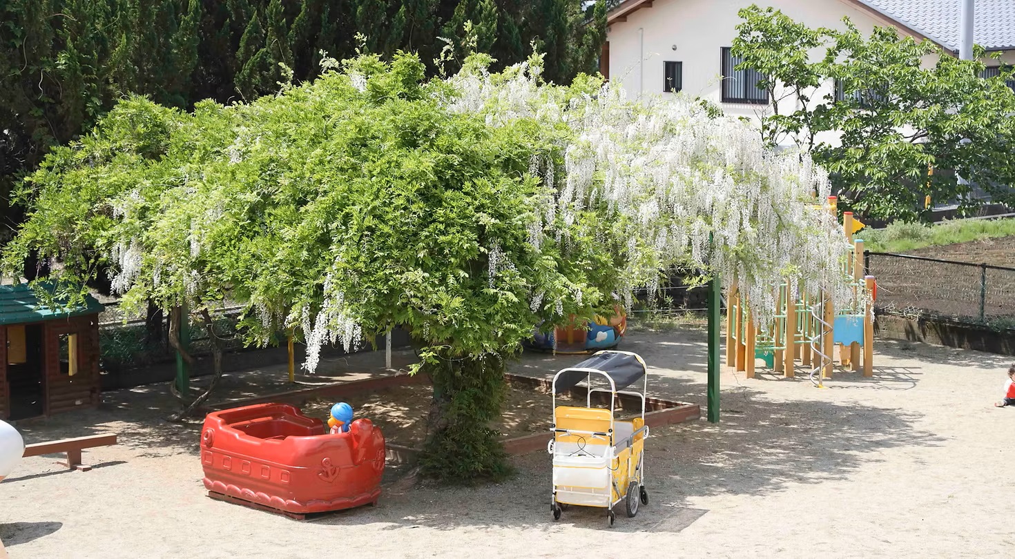 【保育士／熊本市南区】ゆたか幼稚園（正社員）の画像2