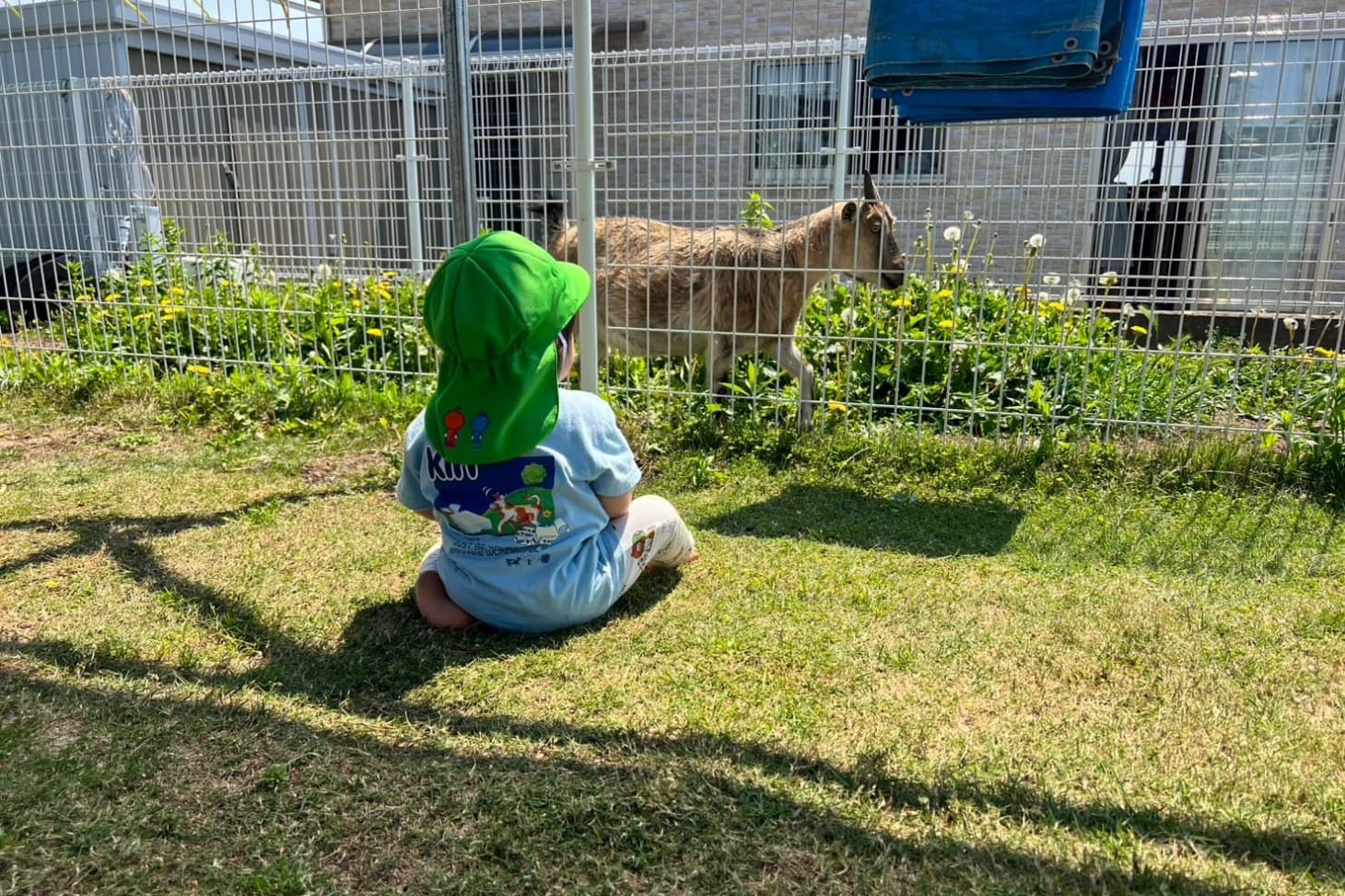 【保育士/熊本市北区】小さな森の保育園 (パート)の画像3